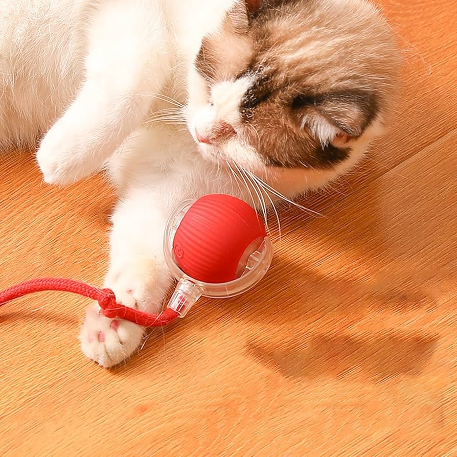PETLOVELY™ Automatic Cat Toy – Moving Ball
