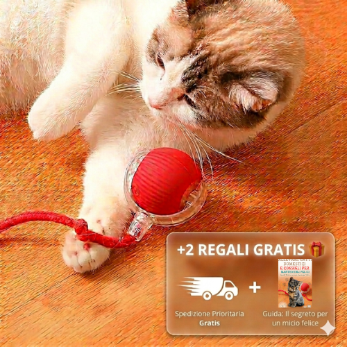 PETLOVELY™ Automatic Cat Toy – Moving Ball