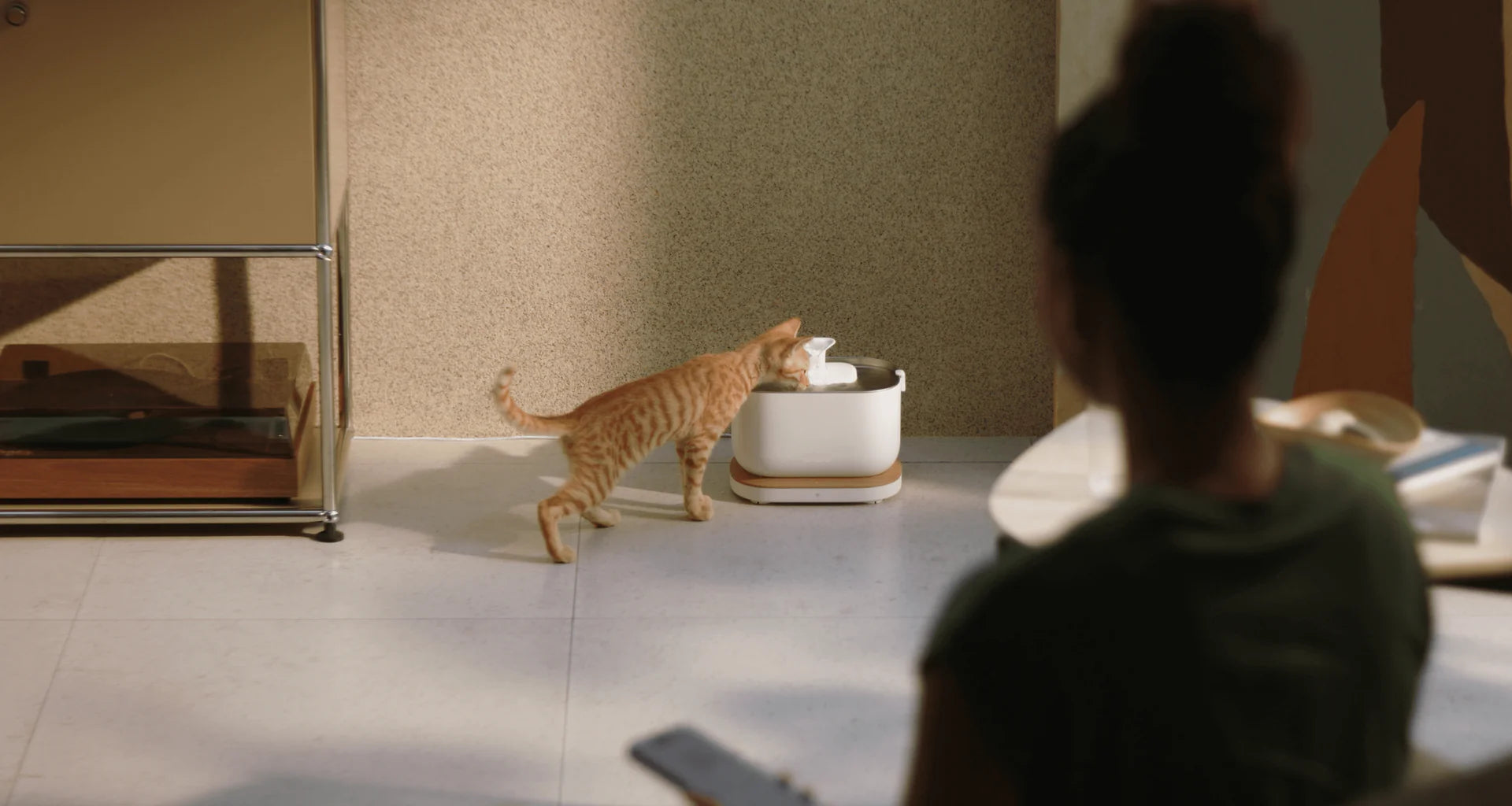 Dockstream Smart Fountain