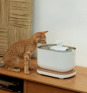 Dockstream Smart Fountain