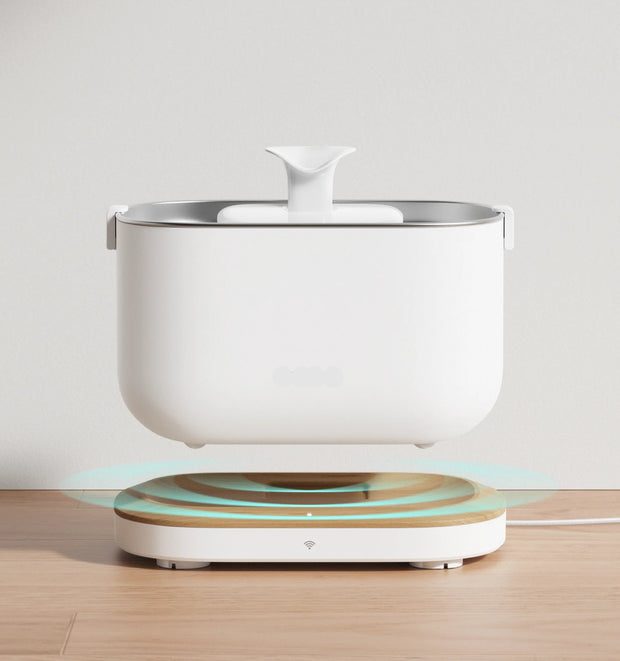 Dockstream Smart Fountain